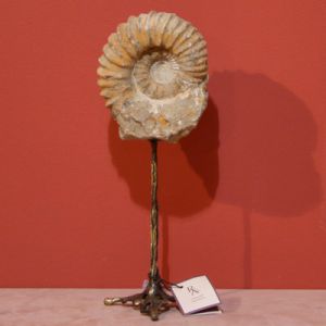 Статуэтка "Гониатит" ― Звезда